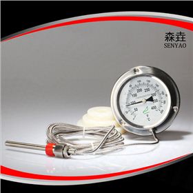 壓力式溫度計(jì)