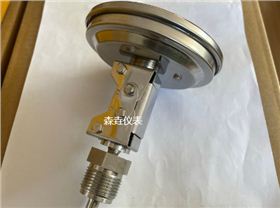 可調(diào)角型雙金屬溫度計(jì)：概述與功能介紹