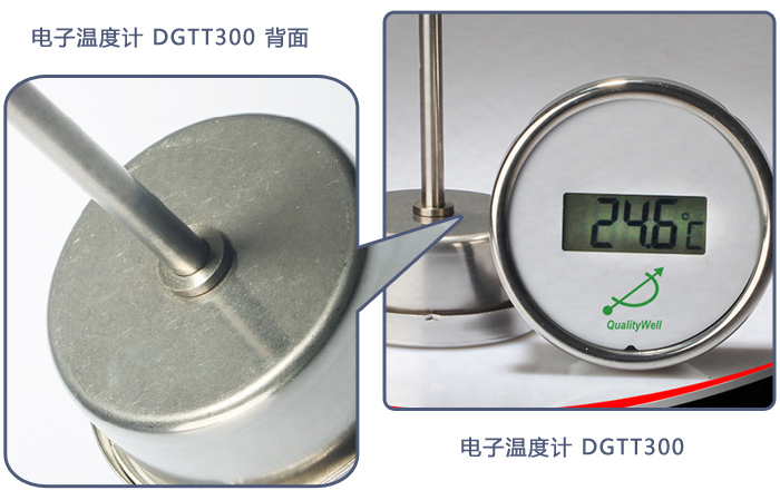 電子溫度計(jì)DGTT300