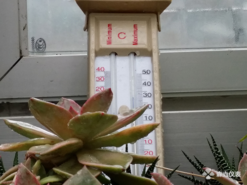 大棚溫度計(jì)的重要性