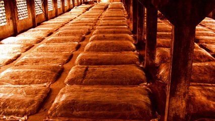 用來測量窖池的雙金屬溫度計(jì)