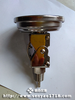 超短探桿定制款太陽能電子溫度計(jì).jpg 超短探桿定制款太陽能電子溫度計(jì).jpg