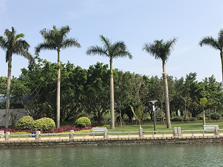 森垚儀表工會(huì)活動(dòng)-廈門 (3).jpg