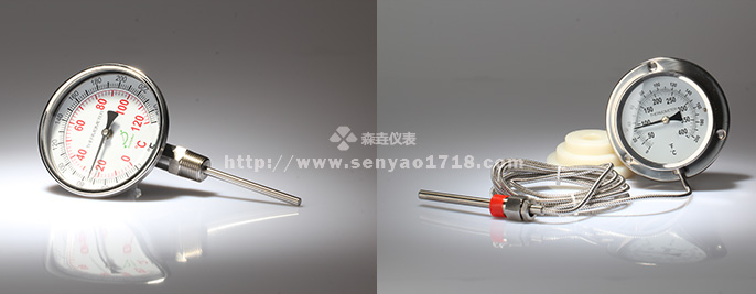 工業(yè)溫度計眾多優(yōu)勢深受好評.jpg
