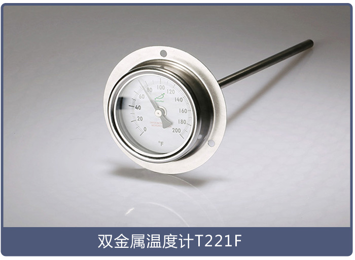 法蘭式溫度計(jì)