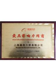 榮獲“最具影響力網(wǎng)商”稱號