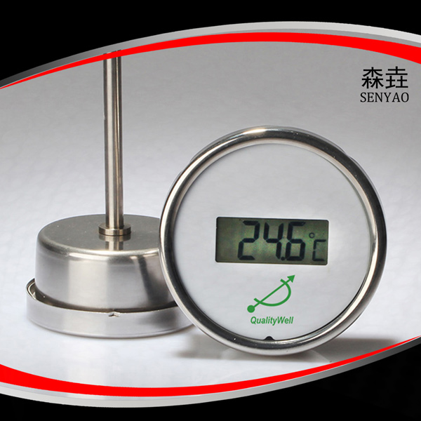 軸向全不銹鋼電子溫度計(jì) 型號(hào):DGTT300 軸向全不銹鋼電子溫度計(jì) 型號(hào):DGTT300