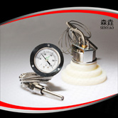壓力式溫度計(jì) 型號(hào):200RF21121 壓力式溫度計(jì) 型號(hào):200RF21121