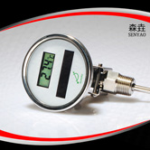 萬向太陽能電子溫度計(jì) 型號：DSTA300